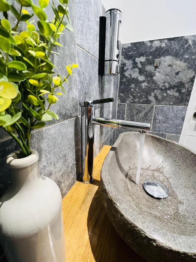 Le Zenith Apartment Saint-Etienne  Ngoại thất bức ảnh